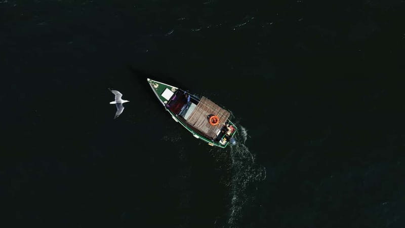Ria Formosa: Armona and Culatra Islands 3-Hour Boat Tour - Praia Deserta swim time and how to make it work