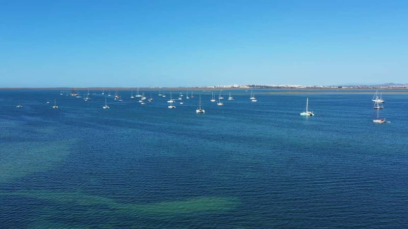 Ria Formosa: Armona and Culatra Islands 3-Hour Boat Tour - Price and value: is $34 worth 3 hours?