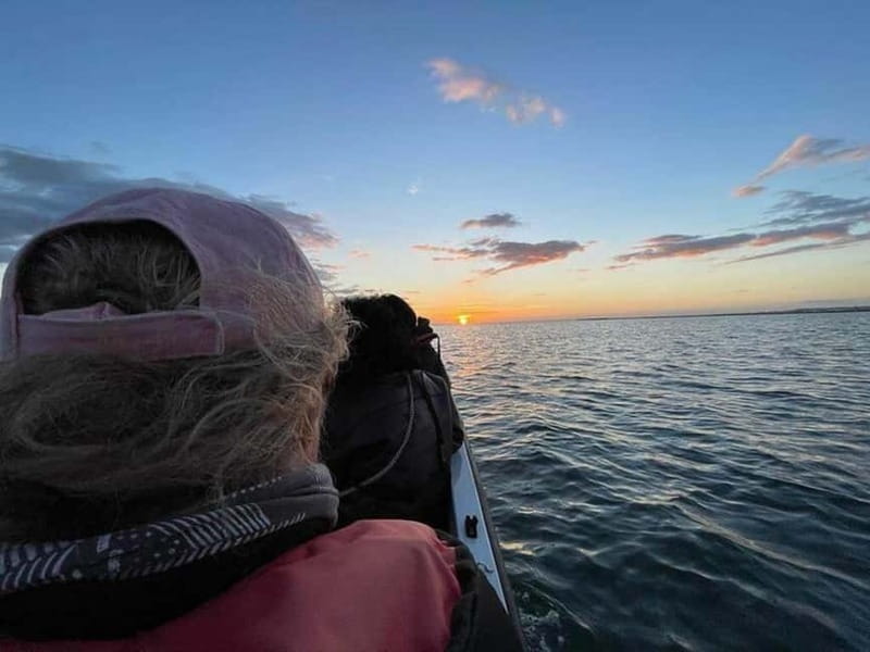 Ria Formosa: Armona and Culatra Islands 3-Hour Boat Tour - What’s included on board (and what you should bring)