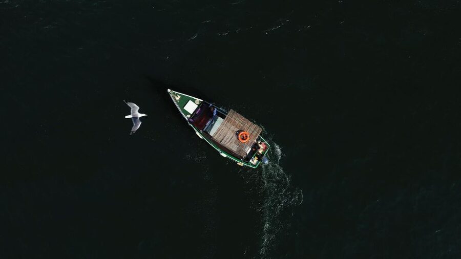 Ria Formosa: Armona and Culatra Islands 3-Hour Boat Tour - Who should book this tour (and who might prefer something else)