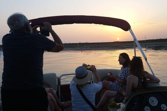 Ria Formosa Boat Sunset Islands Tour from Faro - Ilha do Farol: island time plus the classic coastal look