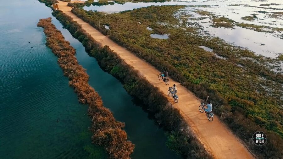 Ria Formosa: Guided Bike Tour (3h), Início na Quinta do Lago - Flamingos and bird watching: when the wildlife stop is the point