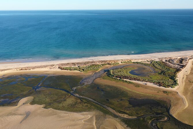Ria Formosa & Ilhas: Private Tour for Two or in Group - What the best captains tend to do for the day