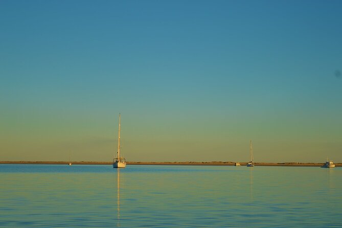 Ria Formosa & Ilhas: Sunset Boat Trip - Stop 2: Culatra Island for beach time and Atlantic-coast energy