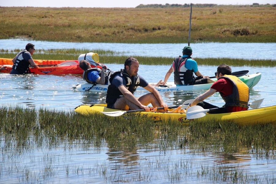 Ria Formosa National Park: Kayak Trip - Price and value: what $58 buys in real terms