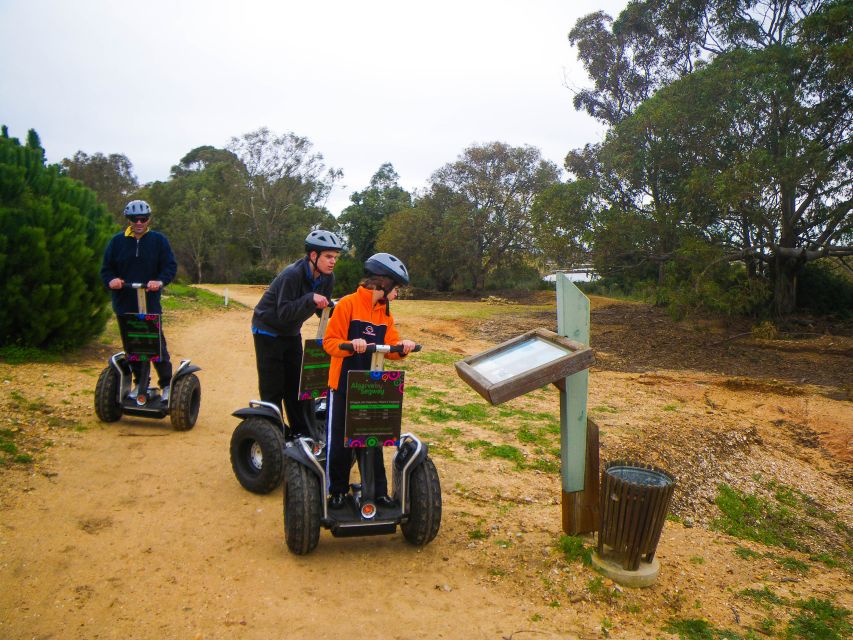 Ria Formosa National Park Segway Tour & Seafood Lunch - Learning the Segway Fast: Why Guides Like Jose and Nelson Matter