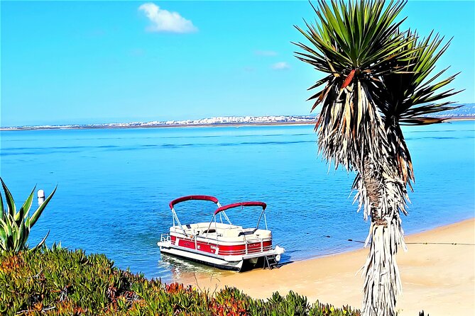 Ria Formosa Natural Park and Islands Boat Cruise from Faro - Stop 3: Ilha do Farol Sand-House Streets and a Beach Bar Moment