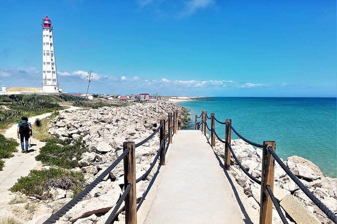 Ria Formosa Natural Park and Islands Boat Cruise from Faro - Boats, Guides, and the 3-Hour Pace That Keeps It Fun