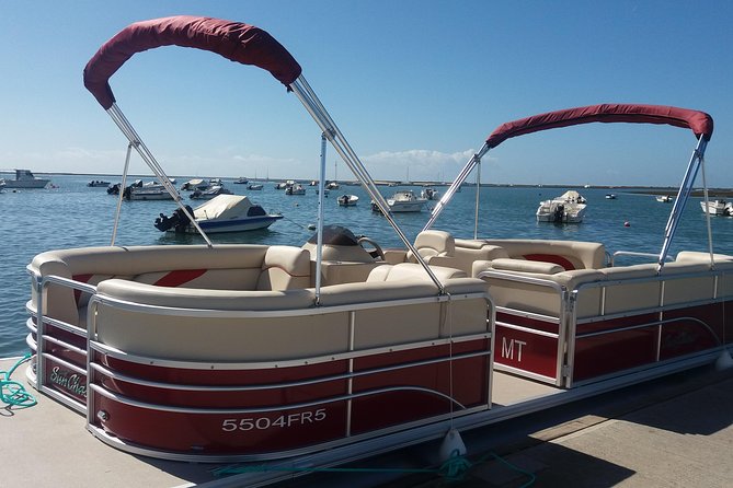 Ria Formosa Natural Park and Islands Boat Cruise from Faro - Swim Time and Bird Time: How to Pack Your Mindset