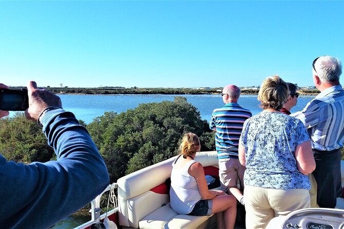 Ria Formosa Natural Park and Islands Boat Cruise from Faro - Who Should Book This Cruise (and Who Might Prefer Another Option)
