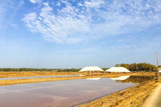 Ria Formosa Natural Park Birdwatching Segway Tour from Faro - Ludo birdwatching stop: flamingos and purple swamphens
