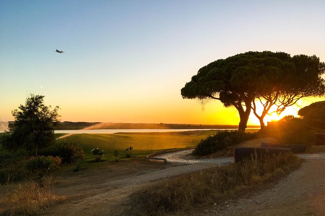 Ria Formosa Natural Park Birdwatching Segway Tour from Faro - Quinta do Lago cruise: golf courses, big villas, and a different vibe