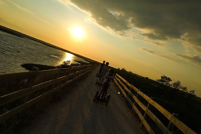 Ria Formosa Natural Park Birdwatching Segway Tour from Faro - Price and value: what $70.17 buys you