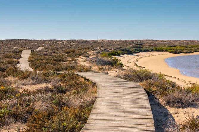 Ria Formosa: Private Boat Rental (from 2 to 8 hours) - Getting to the area: Faro label, Olhão start, and using public transport