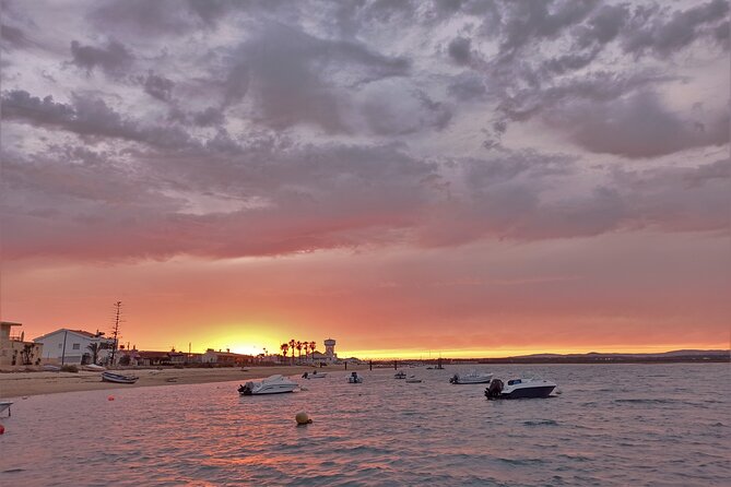 Ria Formosa Sunset 1 hour Boat Trip in Faro - Ria Formosa Natural Park: the wildlife you’ll actually look for