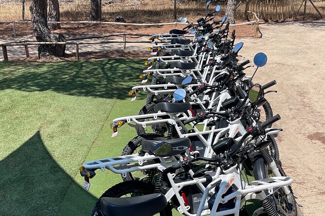 Ride the Day Away: Algarve: Affordable Premium 2×2 E-Bike Rentals - Why a Pedal-Less 2×2 E-Bike Rental Makes Algarve Sense