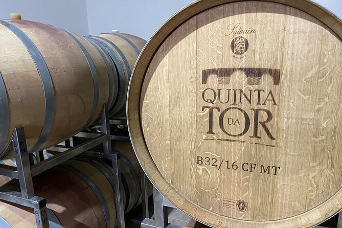 Ride & Wine: Scenic Quinta Da Tor Winery Electric 2x2 bike Tour - Who This Tour Fits Best