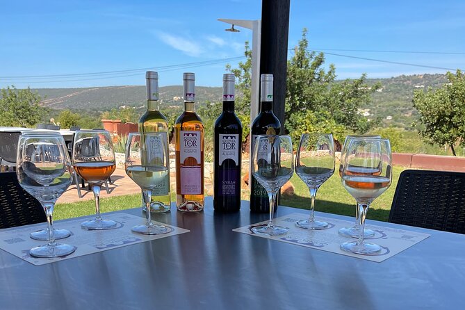Ride & Wine: Scenic Quinta Da Tor Winery Electric 2x2 bike Tour - Quinta da Tôr: Family Stories, Production Process, and Mountain Views