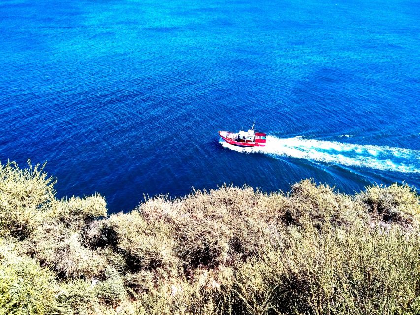 Sagres & Cape St. Vincent Half-Day Tour from Lagos - Who Should Book This and Who Might Prefer Something Else