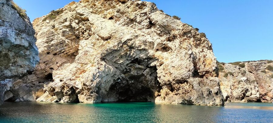 Sagres: Wildlife Tour Dolphins and Caves - Key things to know before you go