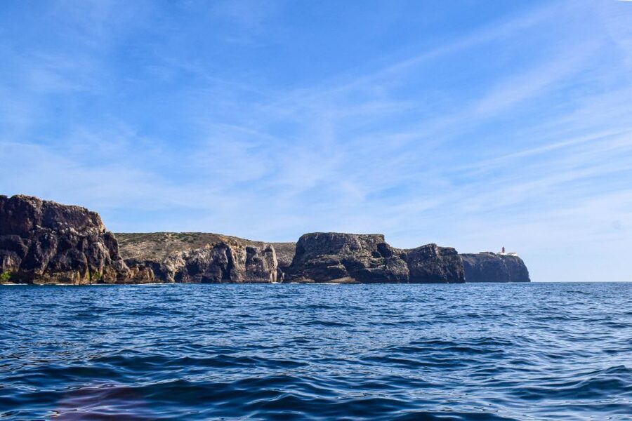 Sagres: Wildlife Tour Dolphins and Caves - Dolphin watching: close viewing with clear rules