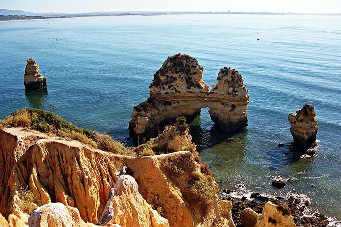 Sail, Swim & Tapas - Tapas onboard: an easy Algarve bite, not a full meal gamble