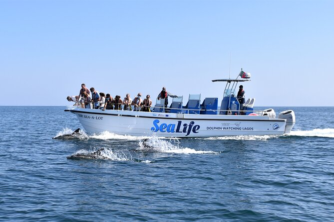 Sealife Sea Safari, Dolphin Watching with Marine Biologist's Lagos - Quick Hits