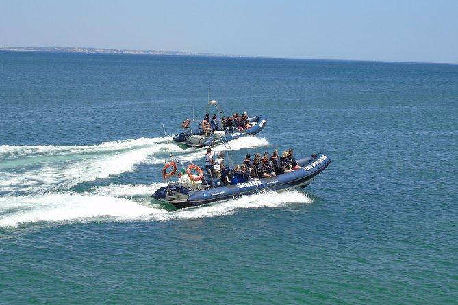 Sealife Sea Safari, Dolphin Watching with Marine Biologist's Lagos - How the Crew Finds Dolphins Without Playing the Us vs Them Game