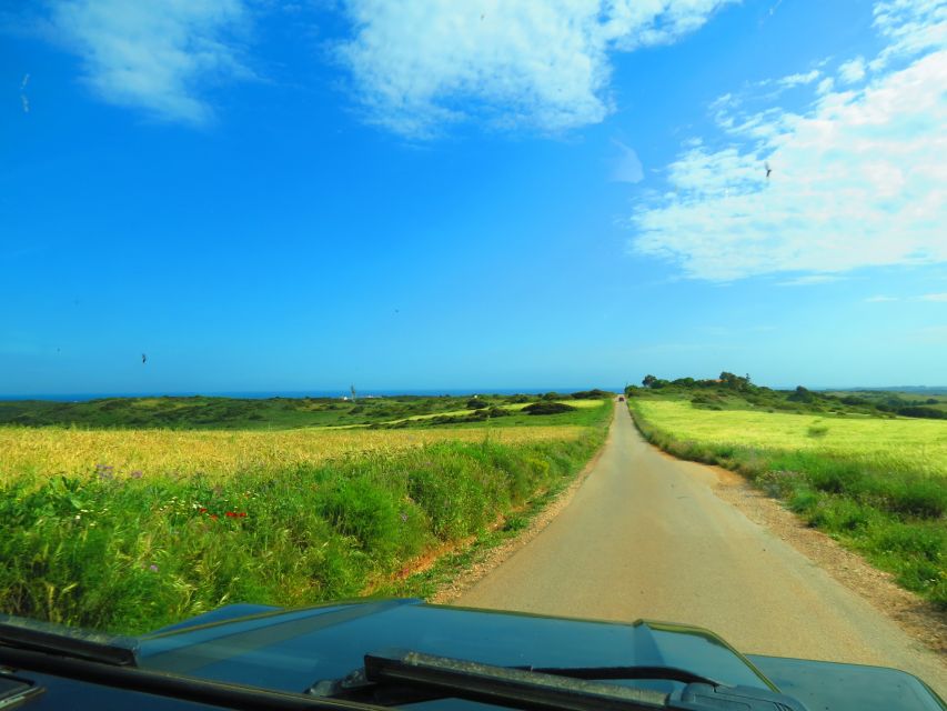 Serra de Monchique & Bravura Half Day Off-Road Day Trip - Guides, Flexibility, and Why Thiago/Tiago and JP Matter