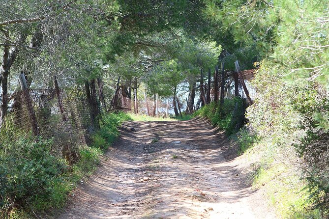 Seven Hanging Valleys Expedition with Lunch in the Vineyard - Price and value: what $555.27 buys you