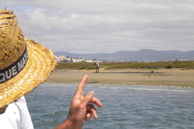 Short boat trip of the Algarve's Ria Formosa lagoon from Faro: 1 hour - What the guide does well (and why it changes the trip)