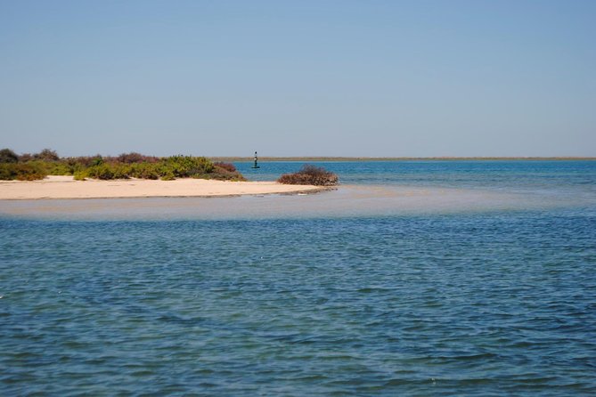 Short boat trip of the Algarve's Ria Formosa lagoon from Faro: 1 hour - Faro Old Town at the end: photos with a payoff