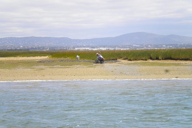 Short boat trip of the Algarve's Ria Formosa lagoon from Faro: 1 hour - Price and value: what you pay for, and what you skip