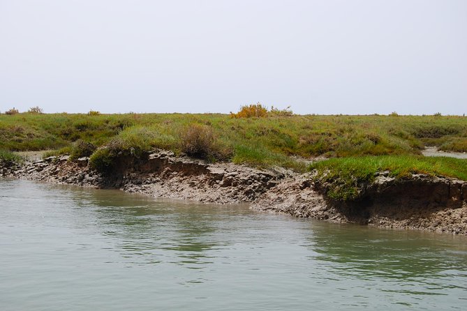 Short boat trip of the Algarve's Ria Formosa lagoon from Faro: 1 hour - Who this private trip suits best (and who should pass)