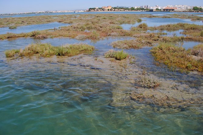 Short boat trip of the Algarve's Ria Formosa lagoon from Faro: 1 hour - Small-group comfort: how the private setup feels in practice
