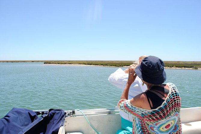 Short boat trip of the Algarve's Ria Formosa lagoon from Faro: 1 hour - On the water: catamaran cruising through the lagoon