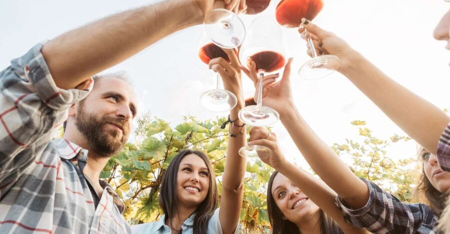 Silves: Algarvian Winery Tour and Tasting Experience - Key Things I’d Put on Your Radar