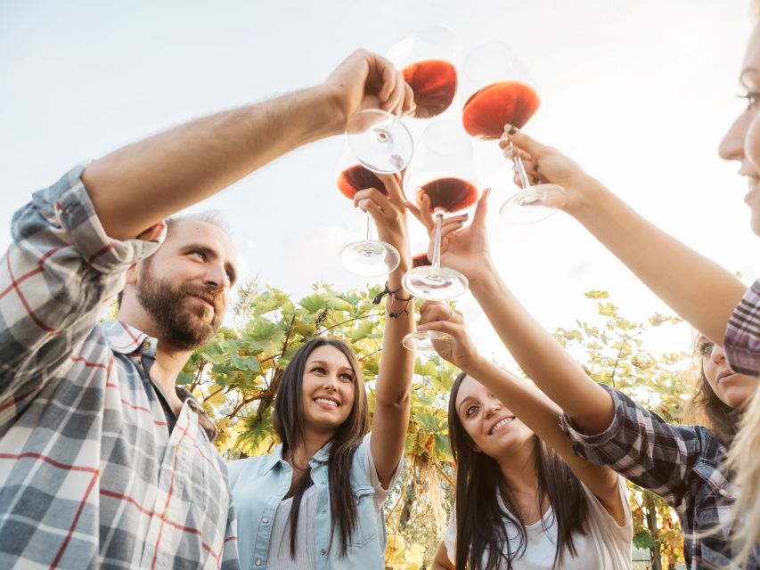 Silves: Algarvian Winery Tour and Tasting Experience - Where Silves Winery Culture Feels Like a Living Farm