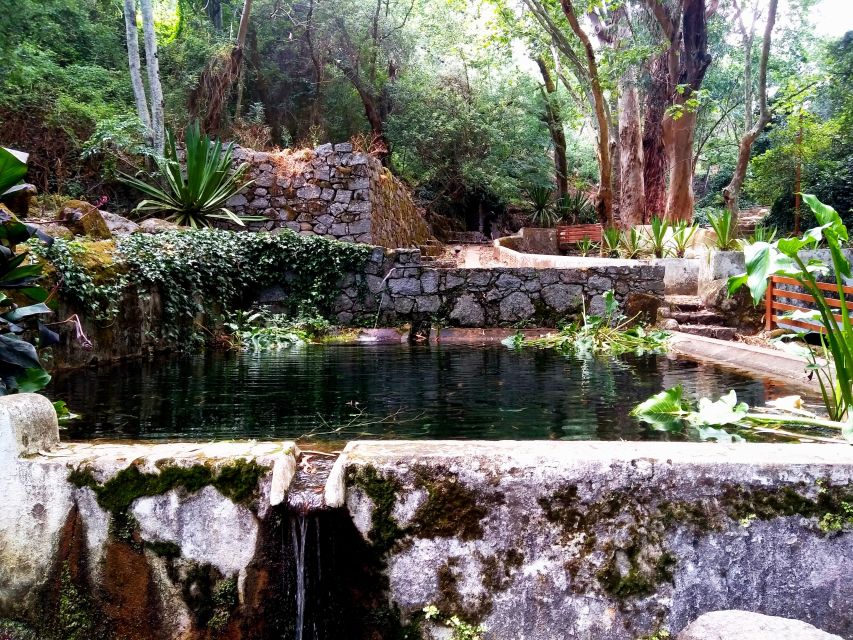 Silves, Caldas and Monchique Wine Tasting: Full Day Tour - Monchique Village Time: Free Time in the Main Square