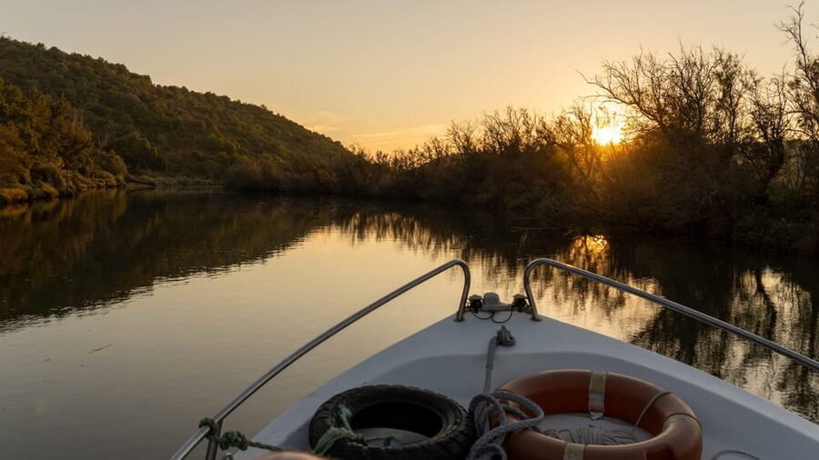 Silves History & Nature Boat Tour on the Arade River - Price and Value: Getting $44 Worth of River Time
