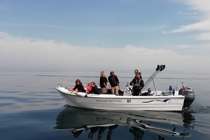 Small Group Dolphin and Wildlife Watching Tour in Faro - Key highlights you’ll care about