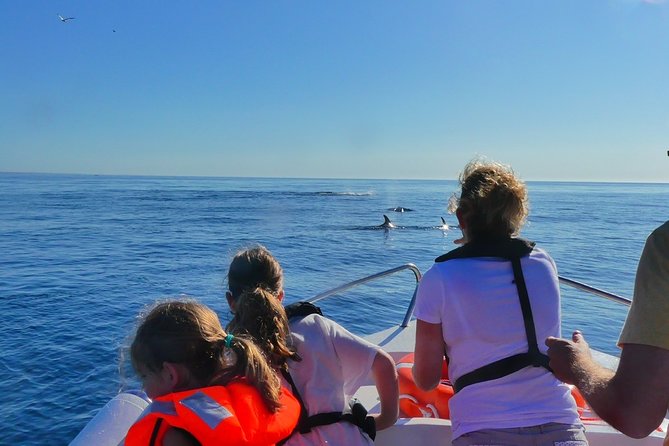 Small Group Dolphin and Wildlife Watching Tour in Faro - The 2.5-hour rhythm: what happens when the boat hits open water