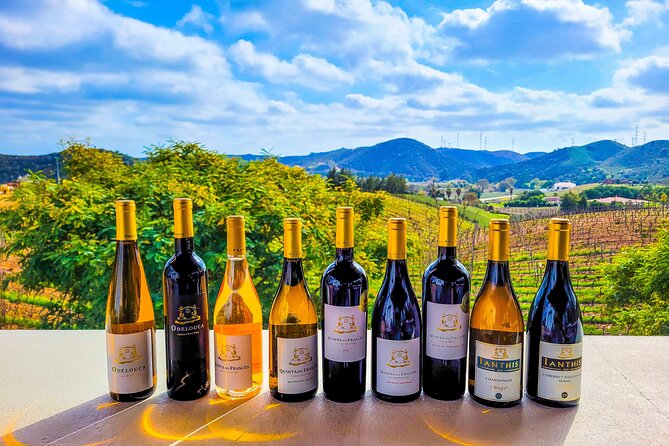 Small group Wine Tasting Tour from Lagos - Lagos pickup, then a quiet countryside reset