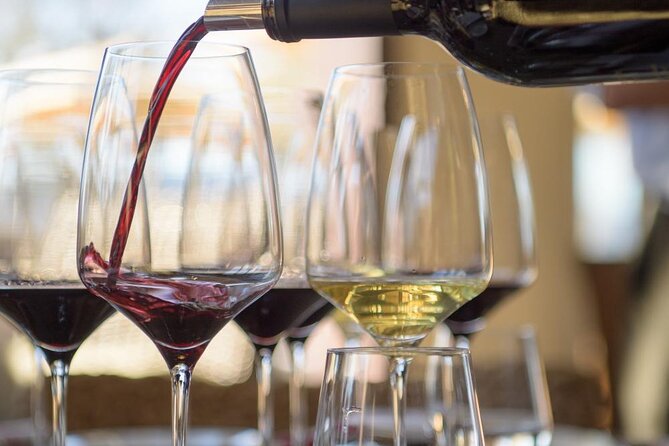 Small group Wine Tasting Tour from Lagos - What to pack and how to plan your day