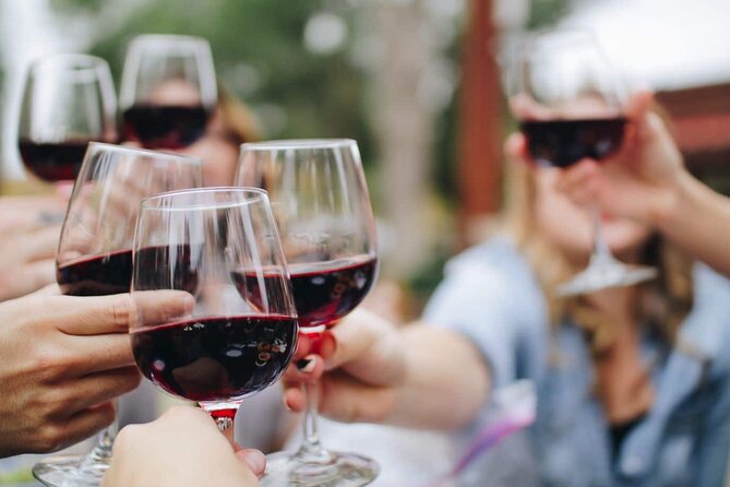 Small group Wine Tasting Tour from Lagos - Who this tour fits (and who should skip it)