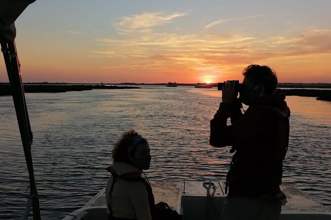 Sunset Boat Trip of Ria Formosa: an Eco-friendly Tour out from Faro - Wildlife spotting at Ria Formosa: how to get more from your hour