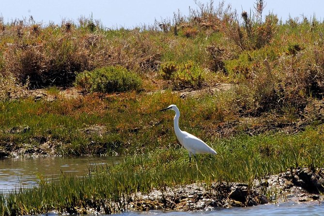 Sunset Boat Trip of Ria Formosa: an Eco-friendly Tour out from Faro - Sunset reality check: when you’ll see the best sky