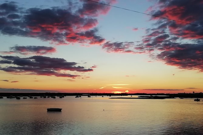 Surf & Sup - Stop 1 in Ria Formosa Natural Park: easy SUP conditions and bird spotting