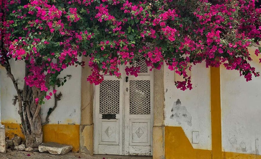 Tavira City & Ice Cream - The guide experience: clarity, humor, and time to ask questions