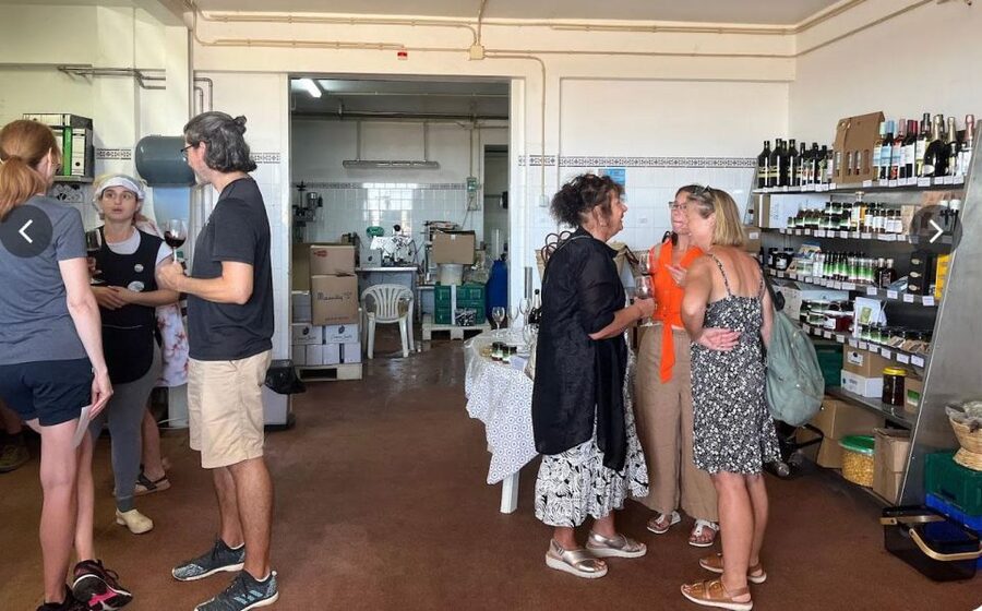 Tavira: Olive Factory Tour and Tasting - Shopping time in the boutique: taking the Algarve home (without overbuying)